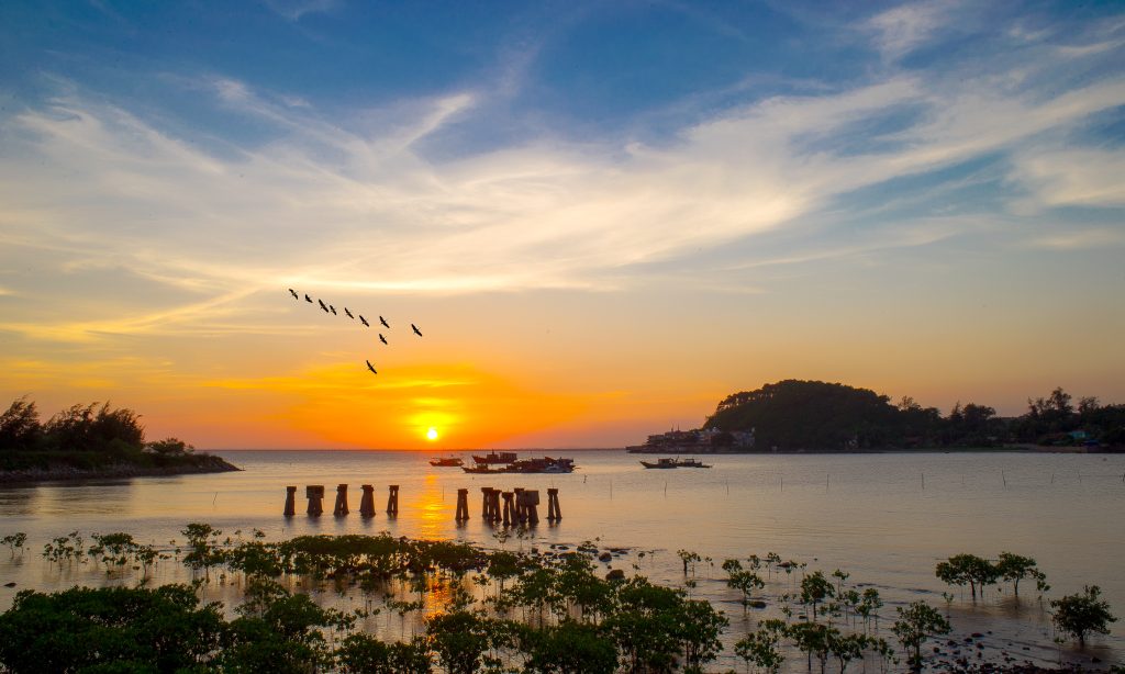 DỊCH THUẬT TỪ TIẾNG ANH SANG TIẾNG VIỆT TẠI PHƯỜNG ĐỒ SƠN THÀNH PHỐ HẢI PHÒNG